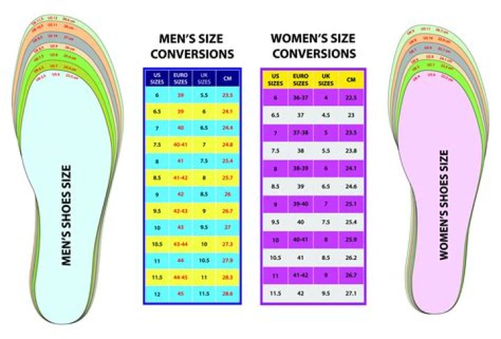 A E 1 Shoe: The Ultimate Guide to Style and Comfort