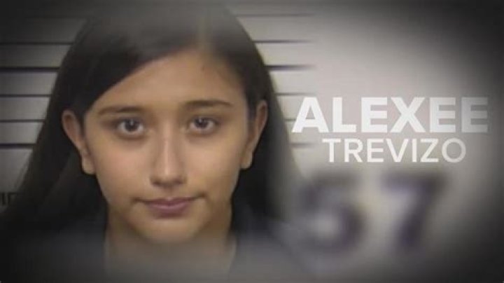 All About Alexee Trevisos: A Rising Star in Social Media