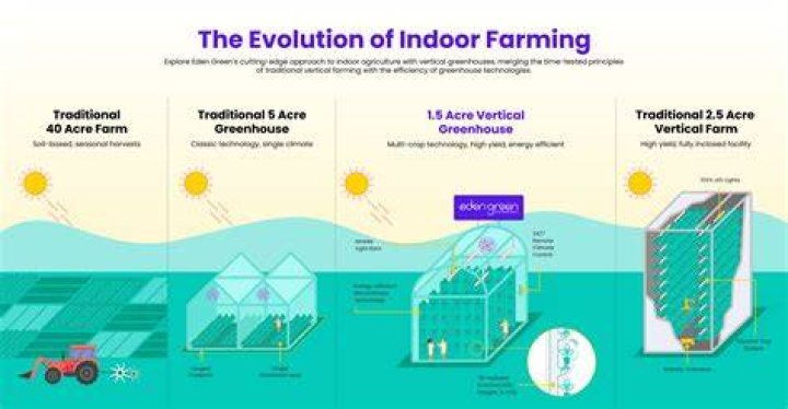 Ballerina Farm: The Times of a Unique Farming Experience