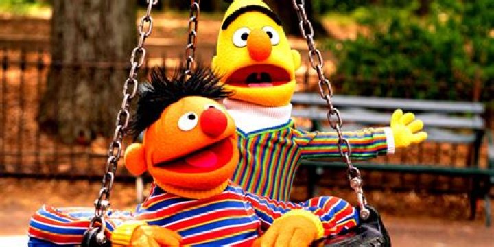 Bert and Ernie Costumes: A Nostalgic Journey into Childhood Fun