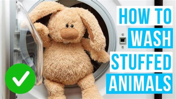 Can You Safely Wash Stuffed Animals? A Comprehensive Guide
