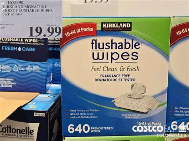 Costco Flushable Wipes Settlement: What You Need to Know