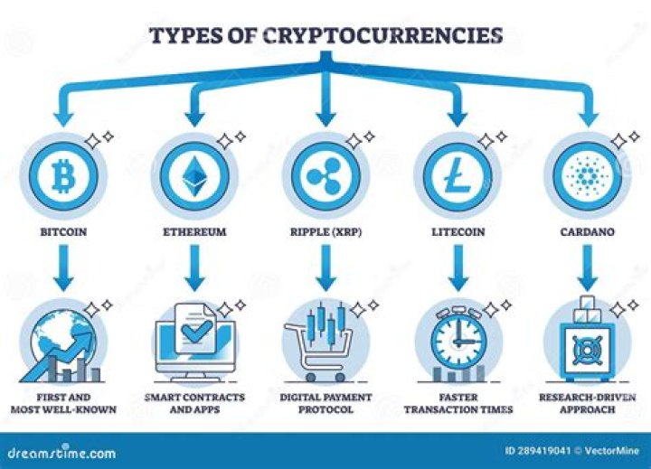 Coyyn: A Comprehensive Guide to Understanding the Future of Cryptocurrency