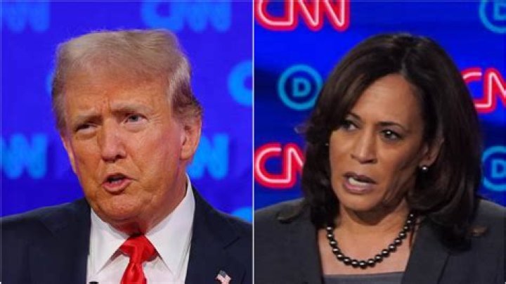Did Netflix Donate to Kamala Harris? Exploring the Connections Between Streaming Giants and Politics
