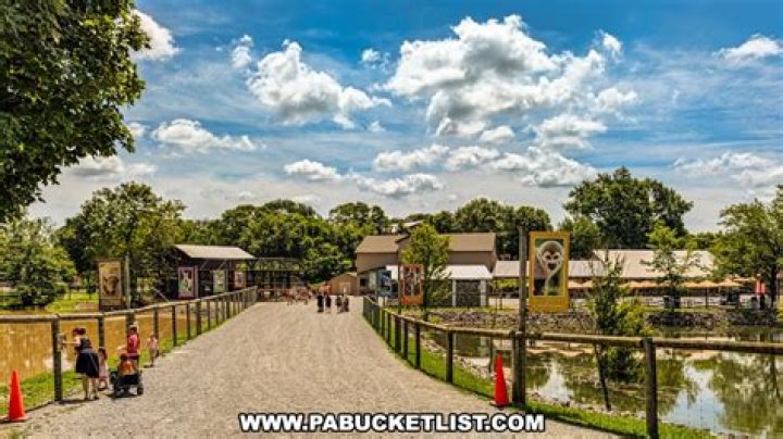 Discovering Lake Tobias: A Wildlife Park Experience