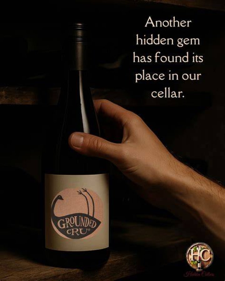 Discovering the Hidden Gem: Cellar 335