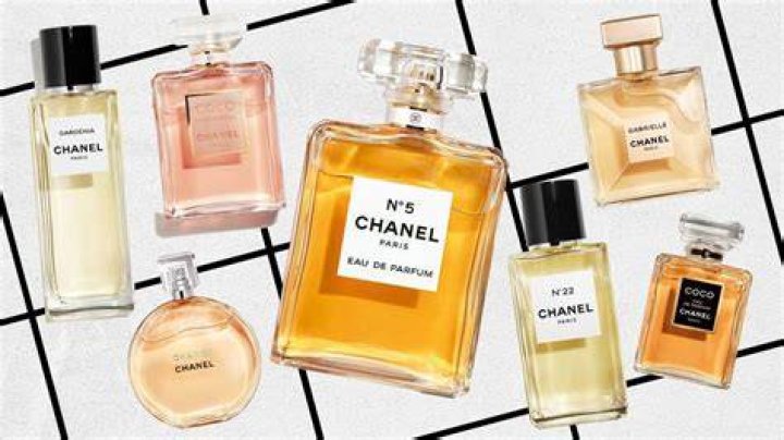 Discovering YSL Woody: A Comprehensive Guide to the Iconic Fragrance