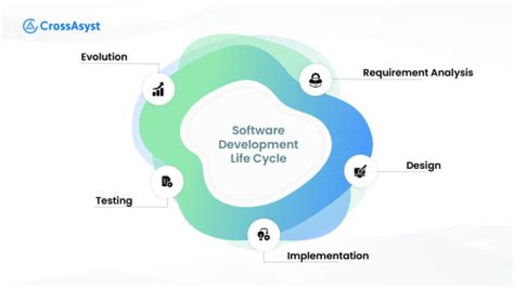 Exploring Bryce Buse's Age: A Comprehensive Investigation