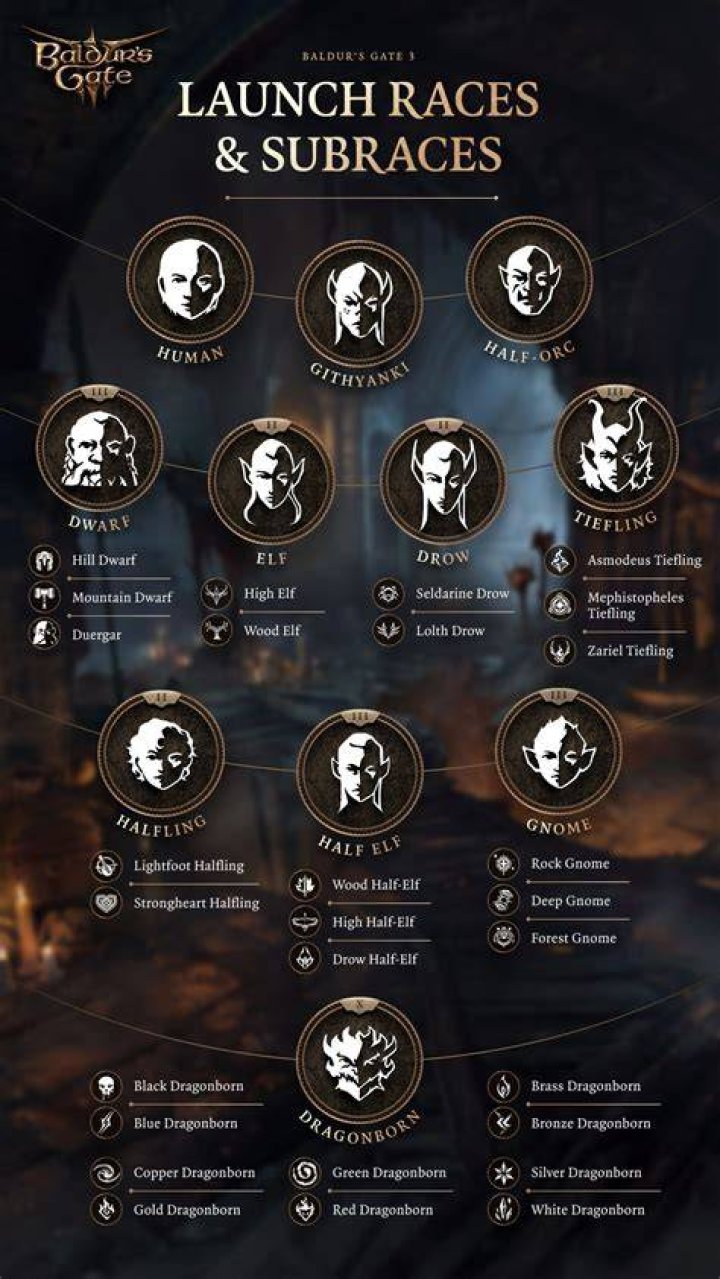 Exploring the Chamber of Strategy in BG3: A Tactical Guide