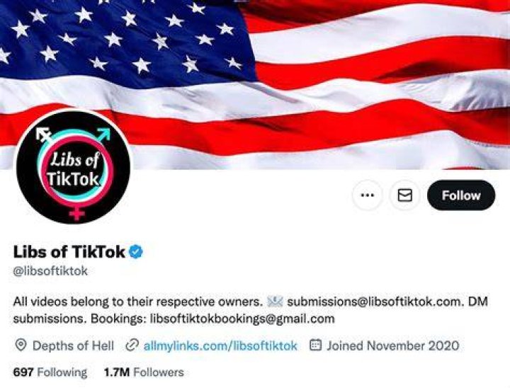 Exploring the Phenomenon of Libs of Tik Tok