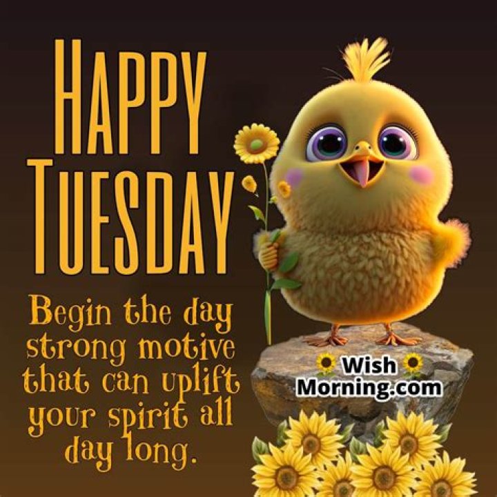 Feliz Martes: The Joy of Embracing Tuesday