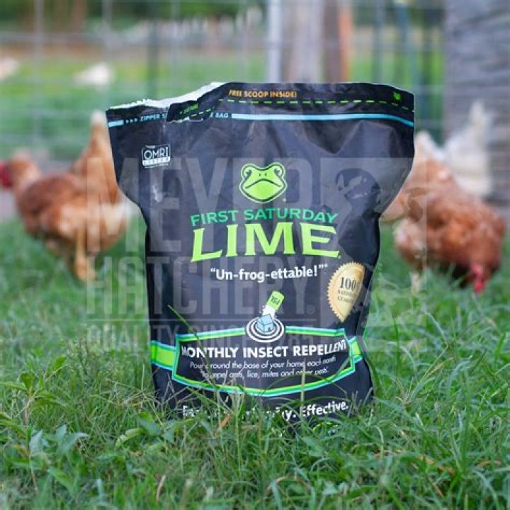 First Saturday Lime: The Ultimate Guide to This Unique Tradition