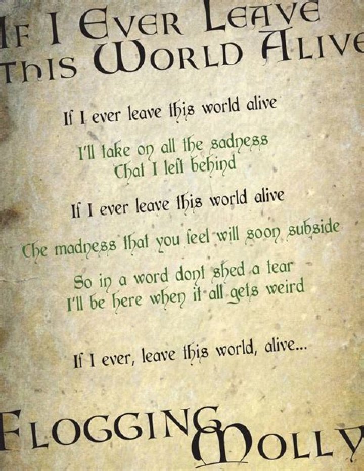 **Flogging Molly: If I Ever Leave This World Alive – A Celebration of Life and Legacy**