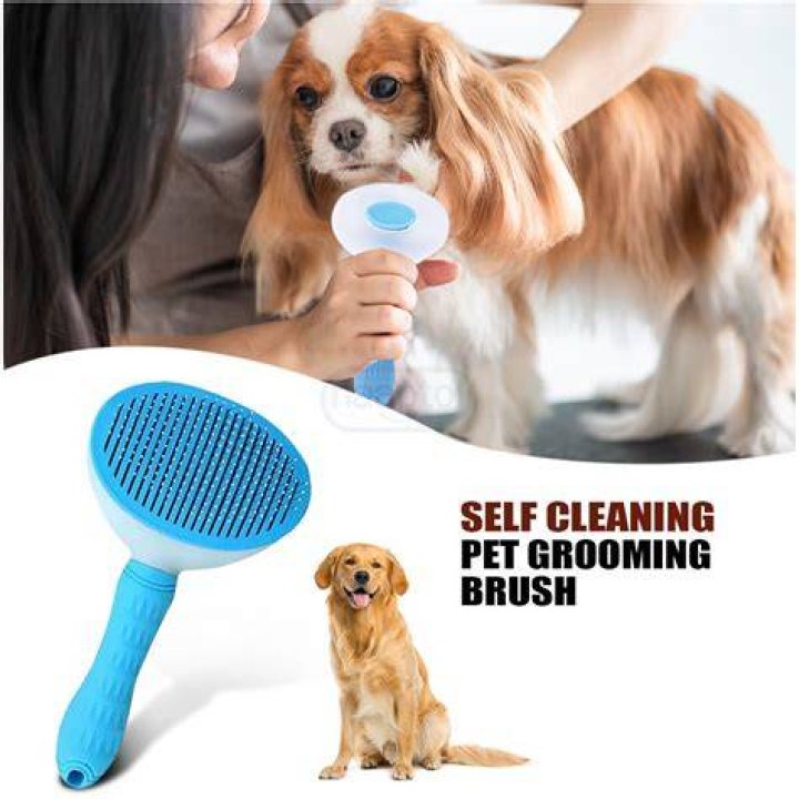 Furzapper Net Worth: Insights into the Innovative Pet Care Product