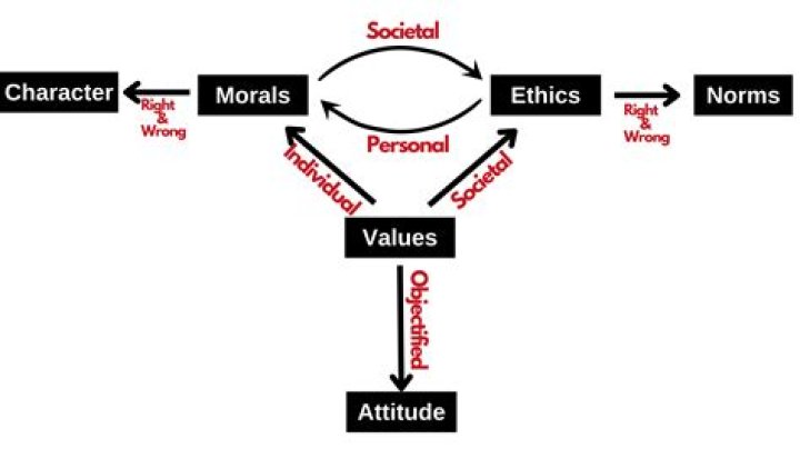 Insightful Analysis of Kai Nygard's Net Worth and Life