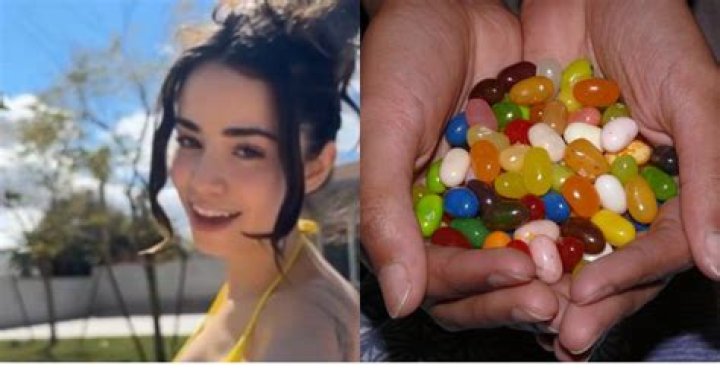 Jelly Bean Brains Only: The Sweet Science Behind a Beloved Candy