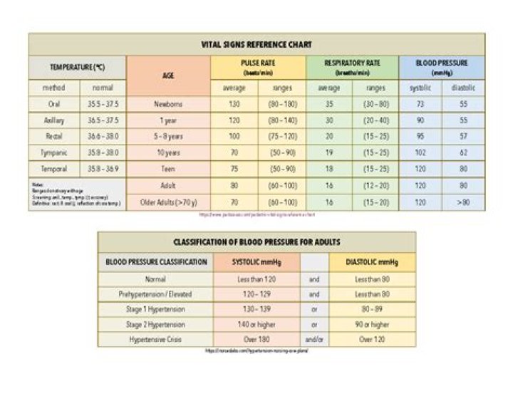 Julie Michaels's Vital Body Statistics and Measurements