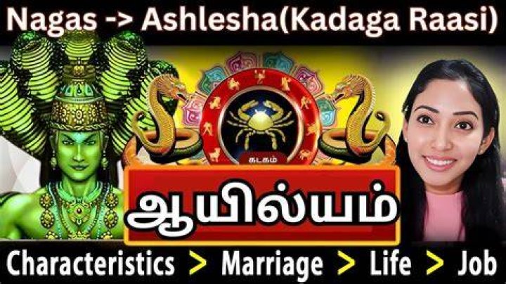 Kadaga Rasi: Understanding the Significance and Characteristics