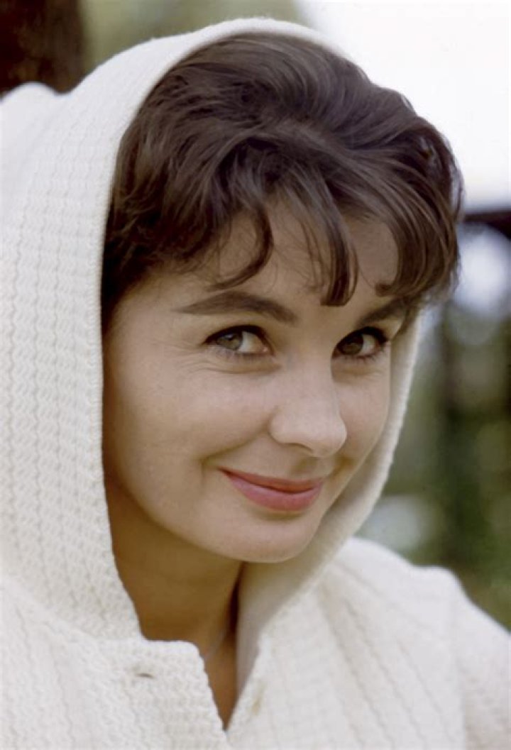 Marlena Haddad: A Deep Dive into Her Life and Career