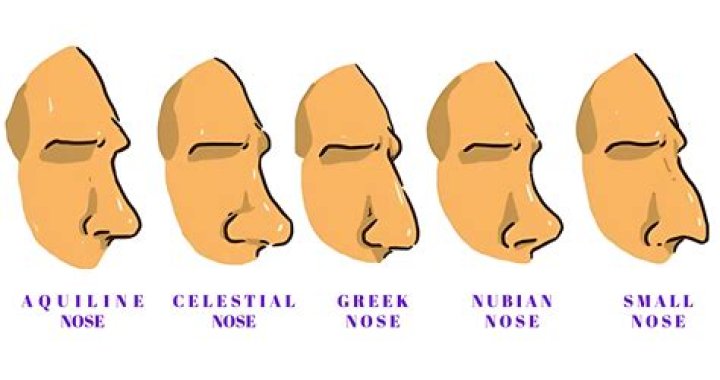 Mastering the Art of Nose Drawing: A Comprehensive Guide
