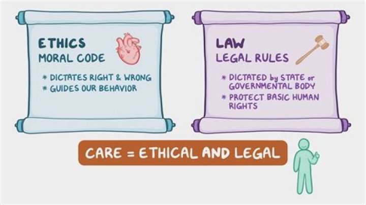 Meme Steal License: Understanding the Cultural Phenomenon and Legal Implications