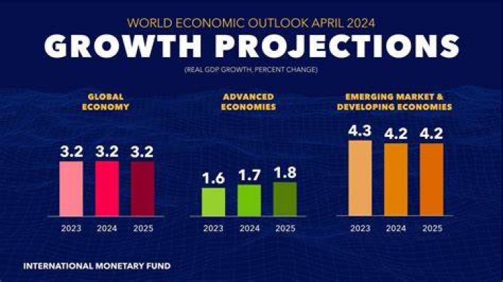 Pepe Net Worth 2024: Financial Insights & Projections