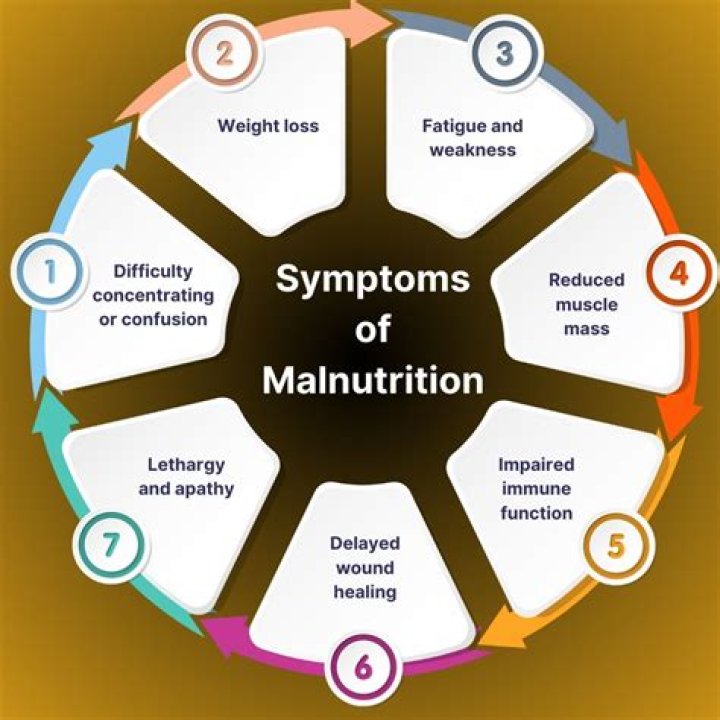 Plumpy Mage: The Revolutionary Approach to Addressing Malnutrition
