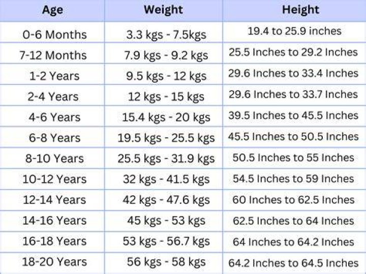 Ryan Gosling Height and Weight: All You Need to Know