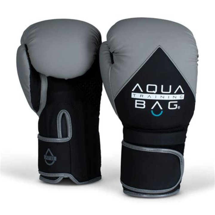 Secrets to Aqua Boxing Gloves' Financial Success: Net Worth Insights