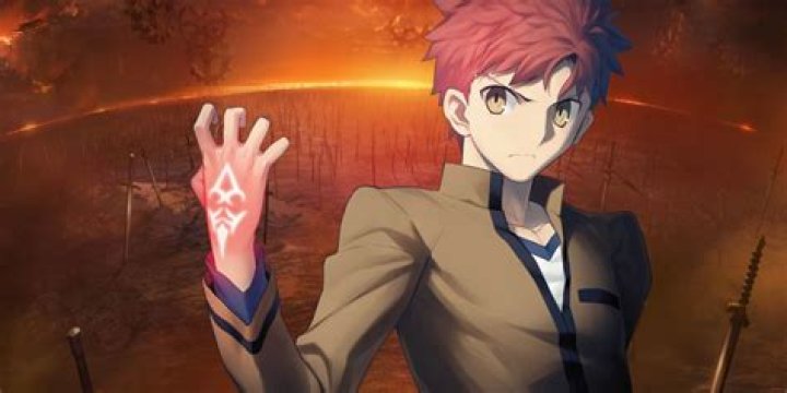Shirou Emiya: The Heroic Spirit of Fate/Stay Night