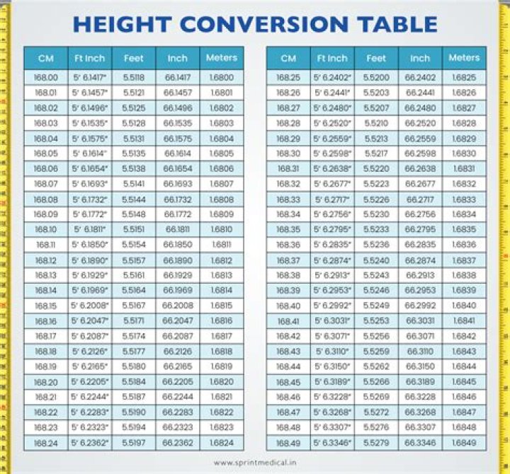 The Comprehensive Guide to Rob Dyrdek's Stature and Weight