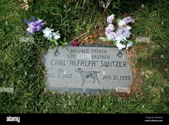 The Life and Financial Legacy of Carl Switzer