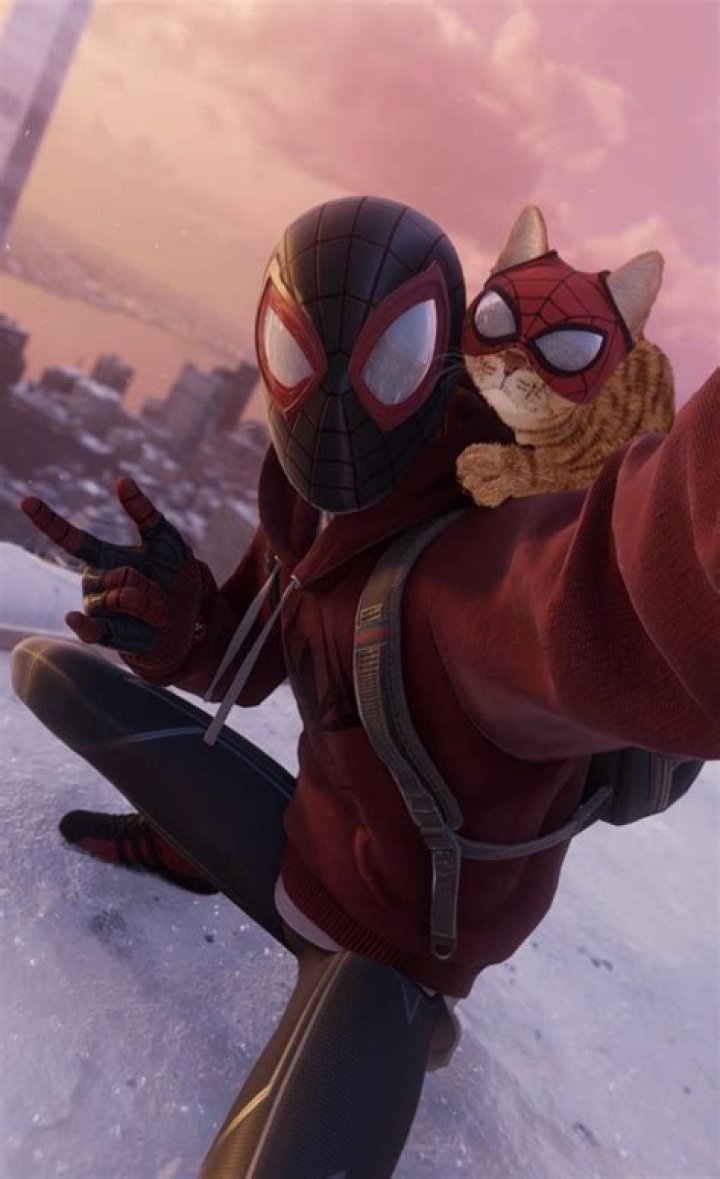 The Marvelous World of the Spiderman Cat: A Unique Feline Phenomenon