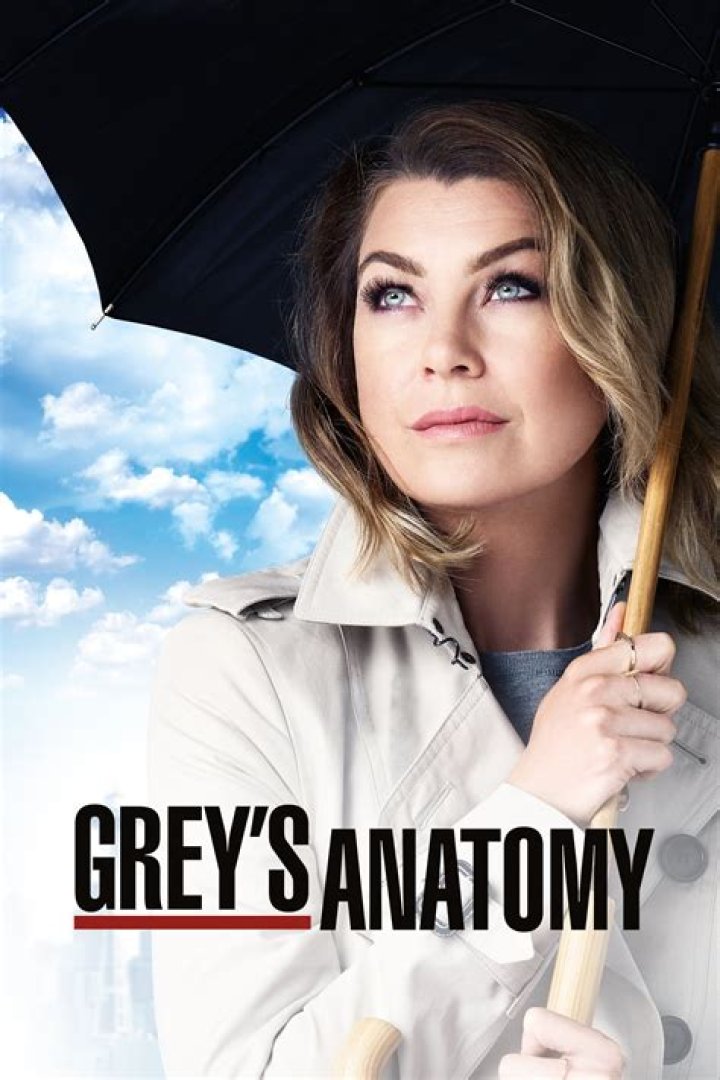 The Ultimate Guide to Grey's Anatomy's Ellen Pompeo