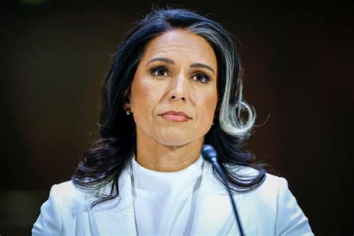 Tulsi Gabbard's Kids: A Closer Look at Her Family Life