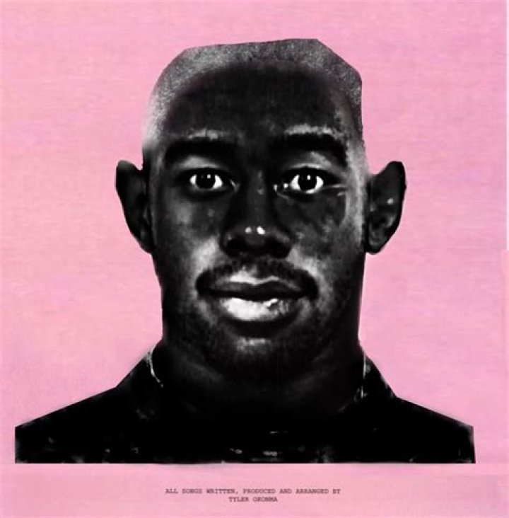 Tyler The Creator Mugshot: The Story Behind the Iconic Image