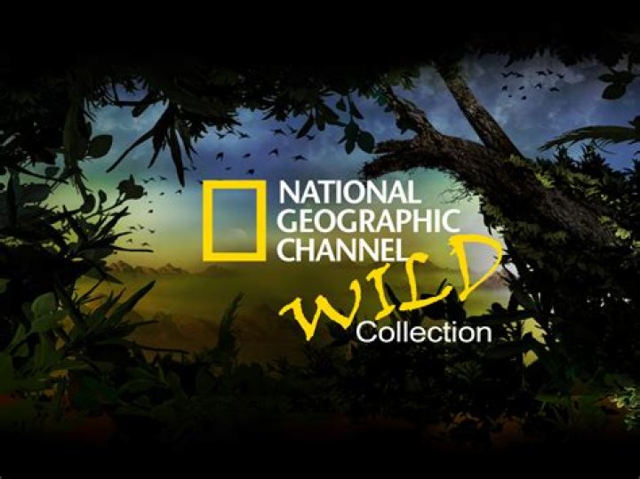 Uncover the World with National Geographic Presents: Explore, Discover, and Learn