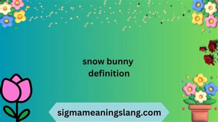 Understanding the Meaning of 