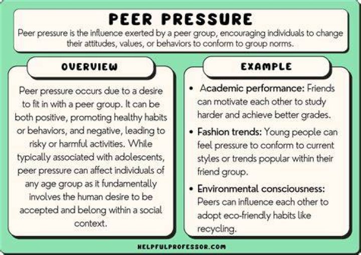 Understanding the Role of the Pasco Clerk: A Comprehensive Guide