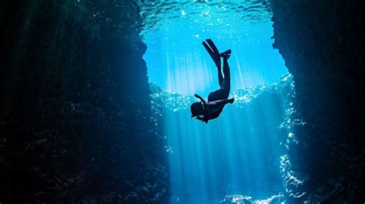 Understanding Yololary: A Deep Dive into Its Origins, Features, and Impact