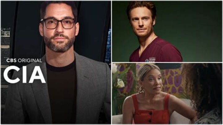 Unraveling the Mystery: Who is Necar Zadegan's Husband?