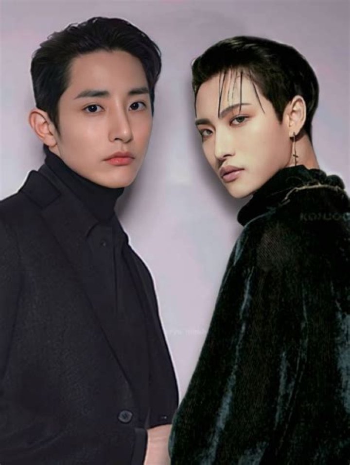 Unveiling the Connection: Hoshi and Lee Soo Hyuk