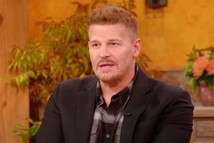 Unveiling the Net Worth of David Boreanaz: A Deep Dive into His Life and Finances