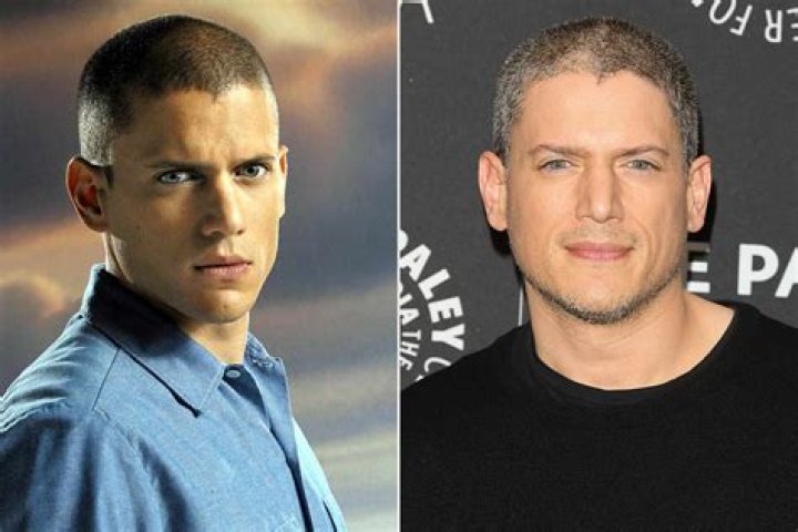 Wentworth Miller 2024: A Comprehensive Look at the Actor's Journey and Future