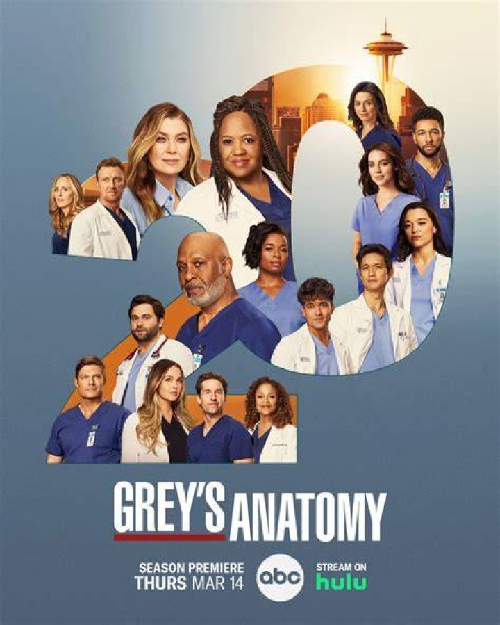 When is Season 20 of Grey's Anatomy Coming Out on Net?